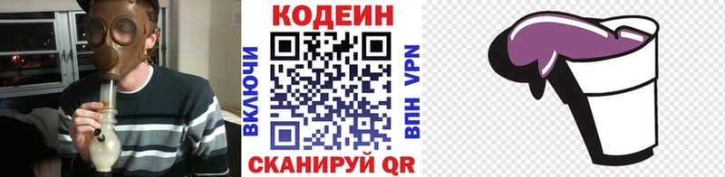 Купить закладки  Петровск-Забайкальский  Codein напиток Lean (лин) 