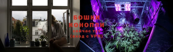 стафф Инта