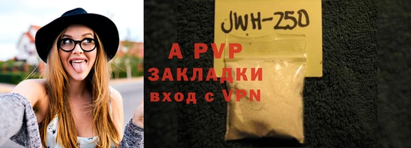 стафф Инта