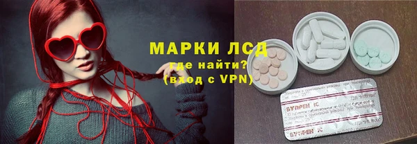 стафф Инта