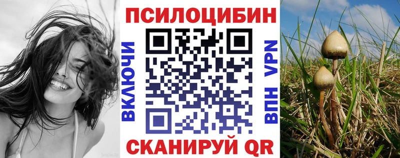 Псилоцибиновые грибы прущие грибы  Купить закладки  Петровск-Забайкальский 